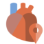 cardiology, location