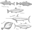 рыбы, морская рыба, рыба меч, тунец, треска, камбала, морепродукты, еда, морская фауна, fish, saltwater fish, swordfish, tuna, flounder, cod, seafood, food, marine life, fisch, salzwasserfisch, schwertfisch, thunfisch, flunder, kabeljau, meeresfrüchte, lebensmittel, meereslebewesen, poisson, poisson d'eau salée, espadon, thon, plie, morue, fruits de mer, nourriture, vie marine, peces, peces de agua salada, pez espada, atún, lenguado, bacalao, mariscos, alimentos, vida marina, pesce, pesce d'acqua salata, pesce spada, tonno, passera, merluzzo, frutti di mare, cibo, vita marina, peixe, peixe de água salgada, peixe-espada, atum, linguado, bacalhau, frutos do mar, comida, vida marinha, риби, морська риба, риба меч, тунець, тріска, морепродукти, їжа, морська фауна