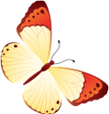 бабочка, насекомое, butterfly, insect, schmetterling, insekt, papillon, insecte, mariposa, insecto, farfalla, insetto, borboleta, inseto, метелик, комаха