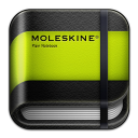 moleskine plain