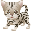 милый котик, животные, кошка, маленький кот, cute cat, animals, cat, little cat, niedliche katze, tier, katze, kleine katze, chat mignon, chat, petit chat, pequeño gato lindo, simpatico gatto, animale, gatto, piccolo gatto, gato bonito, animal, gato, gato pequeno, милий котик, тварини, кішка, маленький кіт