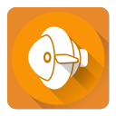 xwidget