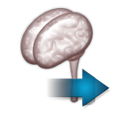 neurology, next, 128