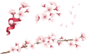 сакура, японская вишня, розовый цветок, ветка сакуры, дерево сакуры, зеленое растение, весенние цветы, флора, japanese cherry, pink flower, sakura branch, sakura tree, green plant, spring flowers, japanische kirsche, rosa blume, sakura-zweig, sakura-baum, grüne pflanze, frühlingsblumen, cerise japonaise, fleur rose, branche de sakura, arbre de sakura, plante verte, fleurs de printemps, flore, cereza japonesa, rama de sakura, árbol de sakura, flores de primavera, sakura, ciliegio giapponese, fiore rosa, ramo di sakura, albero di sakura, pianta verde, fiori primaverili, cerejeira japonesa, flor rosa, ramo de sakura, árvore de sakura, planta verde, flores da primavera, flora, японська вишня, рожева квітка, гілка сакури, дерево сакури, зелена рослина, весняні квіти