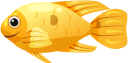 морская рыба, рыбы кораллового рифа, морская фауна, океанические рыбы, sea fish, coral reef fish, marine fauna, ocean fish, korallenrifffische, meeresfauna, meeresfische, poissons de récifs coralliens, faune marine, poissons de mer, peces de arrecife de coral, peces de mar, pesce di mare, pesci della barriera corallina, fauna marina, pesci oceanici, peixes do mar, peixes de recife de coral, fauna marinha, peixes do oceano, морська риба, риби коралового рифу, морська фауна, океанічні риби