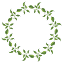 кольцо из листьев, ring of leaves, кільце з листя, венок, рамка для фотошопа, зеленый лист, wreath, frame for photoshop, green leaf, kranz, rahmen für photoshop, grünes blatt, ein ring aus blättern, guirlande, châssis pour photoshop, feuille verte, un anneau de feuilles, corona de flores, marco para photoshop, hoja verde, un anillo de hojas, corona, cornice per photoshop, foglio verde, un anello di foglie, grinalda, quadro para photoshop, folha verde, um anel de folhas, вінок, рамка для фотошопу, зелений лист