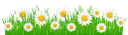 ромашка, ромашковое поле, трава, ромашка луговая, полевые цветы, chamomile, chamomile field, grass, meadow, field flowers, kamille, kamille feld, gras, gänseblümchen, wiese, feld blumen, camomille, champ de camomille, herbe, daisy, pré, fleurs de champ, manzanilla, campo de la manzanilla, hierba, margarita, flores del campo, camomilla, campo di camomilla, erba, margherita, prato, fiori di campo, camomila, campo de camomila, grama, margarida, prado, flores de campo, ромашкове поле, ромашка лугова, польові квіти