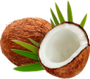 кокосовый орех, кокос, кокосы, coconut, coconuts, kokos, kokosnuss, kokosnüsse, noix de coco, coco, noce di cocco, noci di cocco, кокосовий горіх