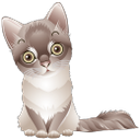 милый котик, животные, кошка, маленький кот, cute cat, animals, cat, little cat, niedliche katze, tier, katze, kleine katze, chat mignon, chat, petit chat, pequeño gato lindo, simpatico gatto, animale, gatto, piccolo gatto, gato bonito, animal, gato, gato pequeno, милий котик, тварини, кішка, маленький кіт