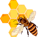 пчела, насекомые, мёд, полосатая пчела, пчёлка, фауна, insects, honey, striped bee, bee, insekten, honig, gestreifte biene, biene, insectes, abeille rayée, abeille, faune, insectos, miel, rayas, abeja, insetti, miele, ape a strisce, ape, insetos, mel, abelha listrada, abelha, fauna, бджола, комахи, мед, смугаста бджола, бджілка