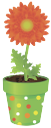 вазон, цветочный горшок, цветок гербера, flower pot, flower gerbera, blumentopf, blume gerbera, vase, pot de fleur, fleur gerbera, florero, maceta, flores de gerbera, vaso di fiori, vaso, vaso de flores, gerbera