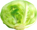 белокочанная капуста, капуста, зеленый, овощи, white cabbage, cabbage, green, vegetables, weißkohl, kohl, grün, gemüse, chou blanc, chou, vert, légumes, repollo blanco, repollo, vegetales, cavolo bianco, cavolo, verdure, repolho branco, repolho, verde, legumes, білокачанна капуста, зелений, овочі