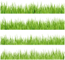 флора, зеленая трава, green grass, grünes gras, flore, herbe verte, la flora, la hierba verde, erba verde, flora, grama verde