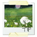 фотография, снимок, picture, snapshot, foto, bild, photographie, image, fotografía, imagen, immagine, fotografia, quadro, фотографія, знімок, tif