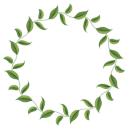 кольцо из листьев, ring of leaves, кільце з листя, венок, рамка для фотошопа, зеленый лист, wreath, frame for photoshop, green leaf, kranz, rahmen für photoshop, grünes blatt, ein ring aus blättern, guirlande, châssis pour photoshop, feuille verte, un anneau de feuilles, corona de flores, marco para photoshop, hoja verde, un anillo de hojas, corona, cornice per photoshop, foglio verde, un anello di foglie, grinalda, quadro para photoshop, folha verde, um anel de folhas, вінок, рамка для фотошопу, зелений лист