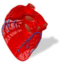 cardiology, 128, hot