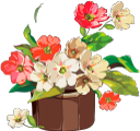 цветы, вазон, цветочный горшок, зеленое растение, флора, flowerpot, flower pot, green plant, flowers, blumentopf, grüne pflanze, blumen, pot de fleurs, pot de fleur, plante verte, fleurs, flore, maceta, vaso di fiori, pianta verde, fiori, vaso de flores, planta verde, flores, flora, квітковий горщик, зелена рослина, квіти