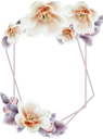 цветочная рамка, рамка для фотошопа, чистый лист, белый лист, цветы, floral frame, frame for photoshop, blank sheet, white sheet, flowers, blumenrahmen, rahmen für photoshop, leeres blatt, weißes blatt, blumen, cadre floral, cadre pour photoshop, feuille blanche, fleurs, marco floral, marco para photoshop, hoja en blanco, cornice floreale, cornice per photoshop, foglio bianco, fiori, moldura floral, moldura para photoshop, folha em branco, folha branca, flores, квіткова рамка, рамка для фотошопу, чистий лист, білий лист, квіти