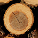 текстура дерево, срез дерева, годовые кольца дерева, texture tree, cut tree, annual tree rings, holzstruktur, geschlagenes holz, baumringe, la texture du bois, couper du bois, des anneaux d'arbres, textura de madera, madera cortada, anillos de los árboles, struttura di legno, legno tagliato, gli anelli degli alberi, textura de madeira, madeira cortada, anéis de árvores, зріз дерева, річні кільця дерева