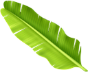 Искусственные листья пальмы