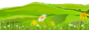 трава, ромашка, лужайка, ландшафт, зеленый, grass, daisy, lawn, landscape, green, gras, gänseblümchen, rasen, landschaft, grün, herbe, marguerite, pelouse, paysage, vert, hierba, margarita, césped, paisaje, erba, margherita, prato, paesaggio, grama, margarida, gramado, paisagem, verde, галявина, зелений