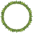 кольцо из листьев, ring of leaves, кільце з листя, венок, рамка для фотошопа, зеленый лист, wreath, frame for photoshop, green leaf, kranz, rahmen für photoshop, grünes blatt, ein ring aus blättern, guirlande, châssis pour photoshop, feuille verte, un anneau de feuilles, corona de flores, marco para photoshop, hoja verde, un anillo de hojas, corona, cornice per photoshop, foglio verde, un anello di foglie, grinalda, quadro para photoshop, folha verde, um anel de folhas, вінок, рамка для фотошопу, зелений лист