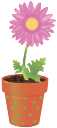 вазон, цветочный горшок, цветок гербера, flower pot, flower gerbera, blumentopf, blume gerbera, vase, pot de fleur, fleur gerbera, florero, maceta, flores de gerbera, vaso di fiori, vaso, vaso de flores, gerbera