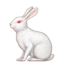 emoji natur-46