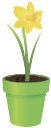 вазон, цветочный горшок, цветок нарцисс, flower pot, flower daffodil, blumentopf, blumen narzisse, vase, pot de fleur, fleur jonquille, florero, maceta, flor del narciso, vaso di fiori, narciso fiore, vaso, vaso de flores, narciso flor
