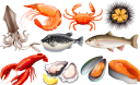 морепродукты, красная рыба, устрица, мидии, креветки, краб, кальмар, омар, морской ёж, форель, рыба, рыба фугу, еда, seafood, shrimp, squid, red fish, crab, lobster, oyster, mussels, sea urchin, fish, trout, puffer fish, food, meeresfrüchte, garnelen, tintenfische, roter fisch, krabben, hummer, austern, muscheln, seeigel, fisch, forellen, kugelfische, lebensmittel, fruits de mer, crevette, calmar, poisson rouge, crabe, homard, huître, moules, oursin, poisson, truite, poisson-globe, nourriture, mariscos, camarones, calamares, pescado rojo, cangrejo, langosta, ostras, mejillones, erizo de mar, pescado, trucha, pez globo, frutti di mare, gamberi, calamari, pesce rosso, granchio, aragosta, ostriche, cozze, ricci di mare, pesce, trota, pesce palla, cibo, frutos do mar, camarão, lula, peixe vermelho, caranguejo, lagosta, ostra, mexilhões, ouriço do mar, peixe, truta, peixe-balão, comida, морепродукти, червона риба, устриця, мідії, морський їжак, риба, риба фугу, їжа