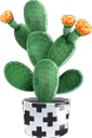 кактус, комнатное растение, зеленое растение, флора, houseplant, flowerpot, green plant, kaktus, zimmerpflanze, blumentopf, grünpflanze, plante d'intérieur, pot de fleur, plante verte, flore, planta de interior, maceta, cactus, pianta d'appartamento, vaso di fiori, pianta verde, cacto, planta de casa, vaso de plantas, planta verde, flora, кімнатна рослина, вазон, зелена рослина