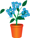 вазон, цветочный горшок, комнатное растение, цветы, флора, flower pot, houseplant, flowers, blumentopf, zimmerpflanze, blumen, pot de fleurs, pot de fleur, plante d'intérieur, fleurs, flore, maceta, planta de interior, vaso di fiori, pianta d'appartamento, fiori, flowerpot, vaso de flores, planta de casa, flores, flora, квітковий горщик, кімнатна рослина, квіти