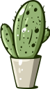 кактус, зеленое растение, колючее растение, колючка кактуса, зеленый, green plant, prickly plant, cactus thorn, green, kaktus, grüne pflanze, stachelige pflanze, kaktusdorn, grün, plante verte, plante épineuse, épine de cactus, vert, planta espinosa, cactus espina, cactus, pianta verde, pianta spinosa, spina di cactus, cacto, planta verde, planta espinhosa, espinho cacto, verde, зелена рослина, колюча рослина, голка кактуса, зелений