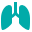 pneumology, 32