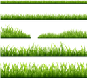 флора, зеленая трава, green grass, grünes gras, flore, herbe verte, la flora, la hierba verde, erba verde, flora, grama verde