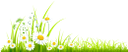 ромашка, ромашковое поле, трава, ромашка луговая, полевые цветы, chamomile, chamomile field, grass, meadow, field flowers, kamille, kamille feld, gras, gänseblümchen, wiese, feld blumen, camomille, champ de camomille, herbe, daisy, pré, fleurs de champ, manzanilla, campo de la manzanilla, hierba, margarita, flores del campo, camomilla, campo di camomilla, erba, margherita, prato, fiori di campo, camomila, campo de camomila, grama, margarida, prado, flores de campo, ромашкове поле, ромашка лугова, польові квіти
