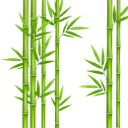 бамбук, бамбук с листьями, зеленое растение, bamboo, bamboo with leaves, green plant, bambus, bambus mit blättern, grüne pflanze, bambou, bambou avec feuilles, plante verte, bambú, bambú con hojas, bambù, bambù con foglie, pianta verde, bambu, bambu com folhas, planta verde, бамбук з листям, зелена рослина