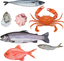 морепродукты, устрица, осьминог, краб, морской окунь, форель, сельдь, рыба, еда, seafood, trout, oyster, crab, octopus, sea bass, herring, fish, food, meeresfrüchte, forellen, austern, krabben, tintenfische, wolfsbarsche, heringe, fische, lebensmittel, fruits de mer, truite, huître, crabe, poulpe, bar, hareng, poisson, nourriture, mariscos, trucha, ostras, cangrejo, pulpo, lubina, pescado, frutti di mare, trota, ostrica, granchio, polpo, branzino, aringa, pesce, cibo, frutos do mar, truta, ostra, caranguejo, polvo, robalo, arenque, peixe, comida, морепродукти, устриця, восьминіг, морський окунь, оселедець, риба, їжа