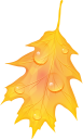 желтый лист, осенние листья, осень, осенний лист, листок дерева, листопад, yellow leaf, autumn, autumn leaves, a leaf of a tree, falling leaves, gelbes blatt, herbst, herbstlaub, ein blatt eines baums, fallende blätter, feuille jaune, automne, feuilles d'automne, une feuille d'un arbre, feuilles qui tombent, hoja amarilla, otoño, hojas de otoño, una hoja de un árbol, hojas caídas, foglia gialla, autunno, foglie di autunno, una foglia di un albero, foglie che cadono, folha amarela, outono, folhas de outono, uma folha de uma árvore, folhas caindo, жовтий лист, осіннє листя, осінь, осінній лист, листя дерева