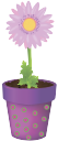вазон, цветочный горшок, цветок гербера, flower pot, flower gerbera, blumentopf, blume gerbera, vase, pot de fleur, fleur gerbera, florero, maceta, flores de gerbera, vaso di fiori, vaso, vaso de flores, gerbera