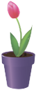 вазон, цветочный горшок, цветок тюльпан, flower pot, flower tulip, blumentopf, blume tulpe, vase, pot de fleur, fleur de tulipe, florero, maceta, flor del tulipán, vaso di fiori, tulipano, vaso, vaso de flores, tulipa flor