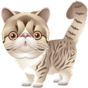 милый котик, животные, кошка, маленький кот, cute cat, animals, cat, little cat, niedliche katze, tier, katze, kleine katze, chat mignon, chat, petit chat, pequeño gato lindo, simpatico gatto, animale, gatto, piccolo gatto, gato bonito, animal, gato, gato pequeno, милий котик, тварини, кішка, маленький кіт