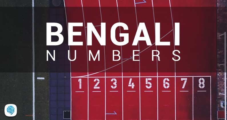 Learn Bengali Numbers | Bengali Basics | Counting Numbers In Bengali