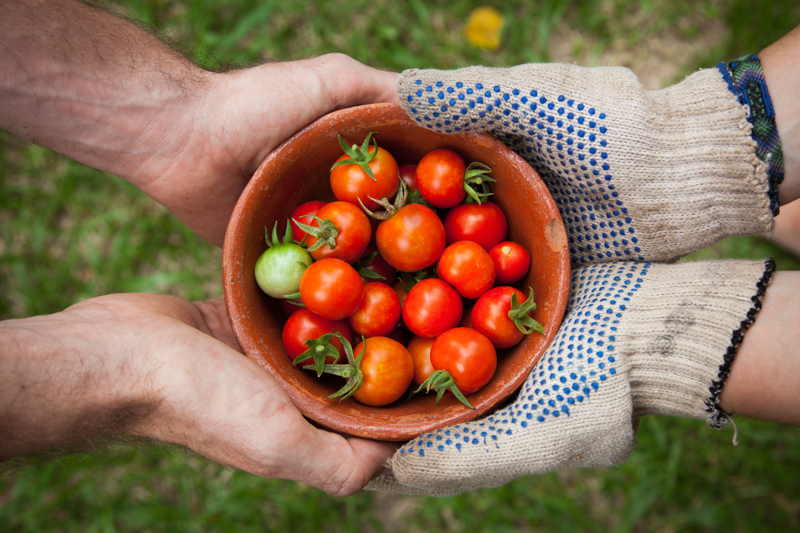 generous gift fruits