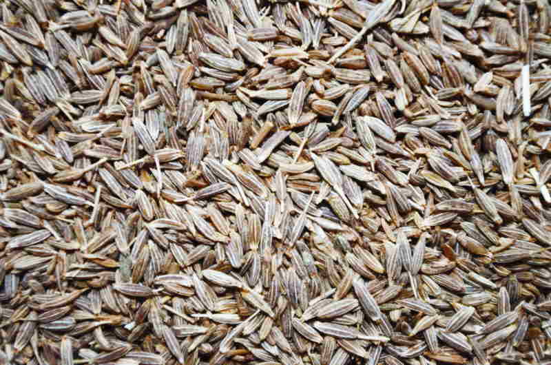 cumin seeds in hindi name