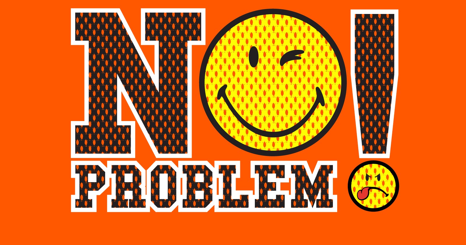 no-problem-in-hindi-multibhashi