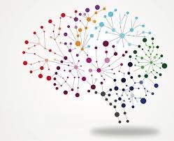 WhatsApp Image 2021-02-18 at 5.12.04 PM brain