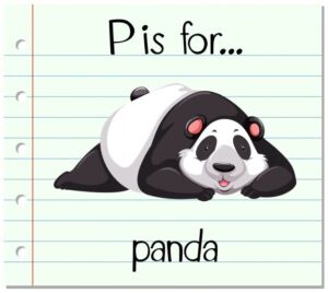 panda