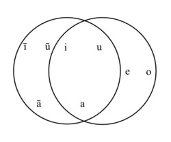 phonology