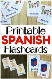 Spanish Flashcards